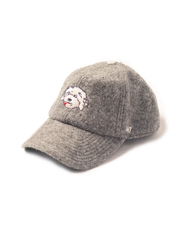  -Anti-slip claw protection raincoat FOR dogsSHAGGY DOG BASEBALL CAP - GREY