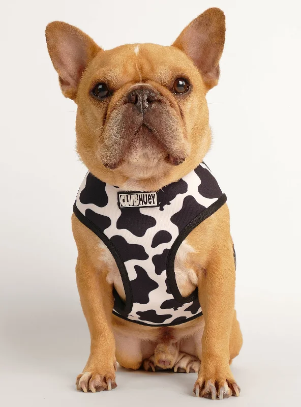Cat clothesThe Cow TV Reversible Harness
